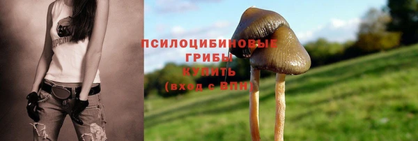 скорость Балахна