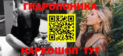 мдпв Бийск
