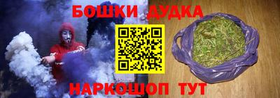 мдпв Бийск