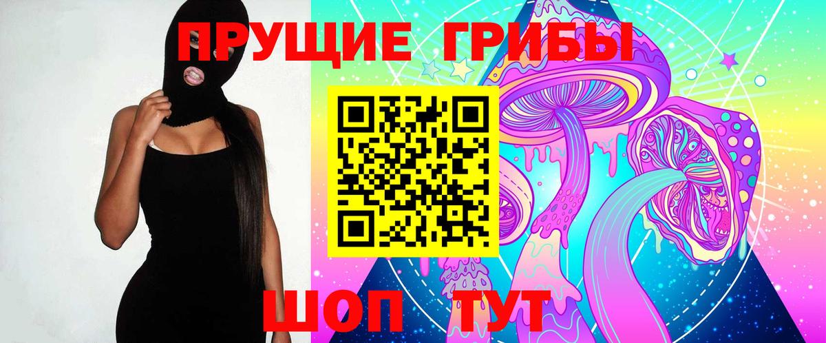 Галлюциногенные грибы Psilocybe Кинешма