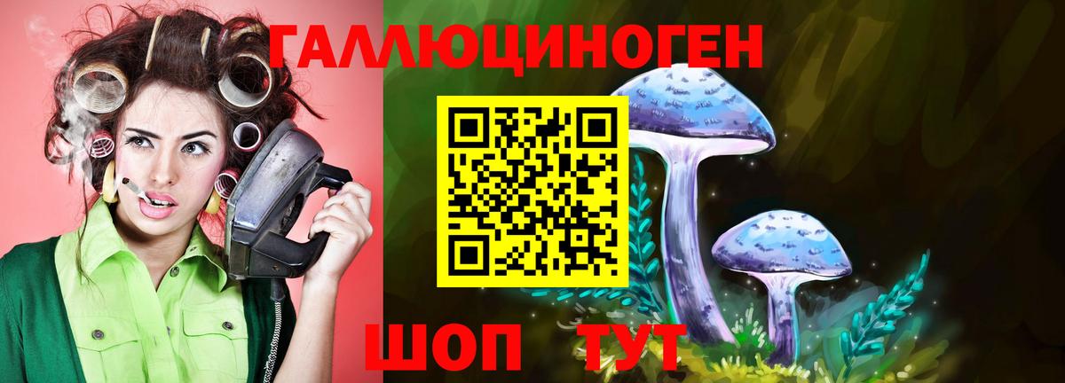 Кинешма  Псилоцибиновые грибы прущие грибы  Псилоцибиновые грибы Magic Shrooms  Вход с VPN 